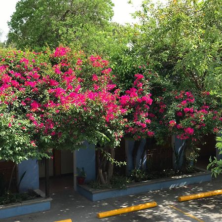 Hotel Hacienda Del Viejo Matamoros  Eksteriør billede